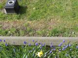image of grave number 340383